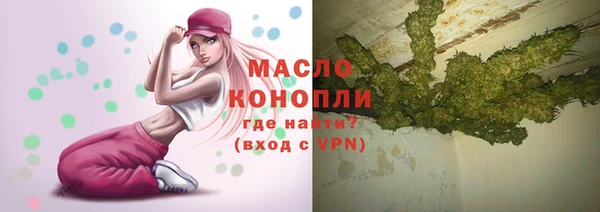 дмт Абаза